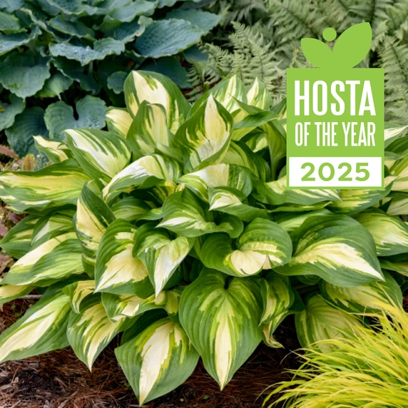 Image Credit: Walters Gardens, Inc