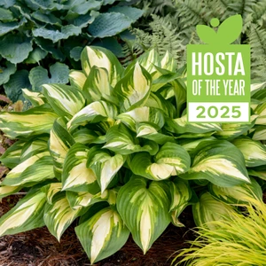 Image Credit: Walters Gardens, Inc