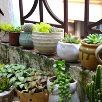 Houseplant Accessories