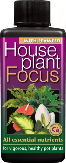 Houseplant Focus 100ml - image 1