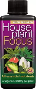 Houseplant Focus 100ml