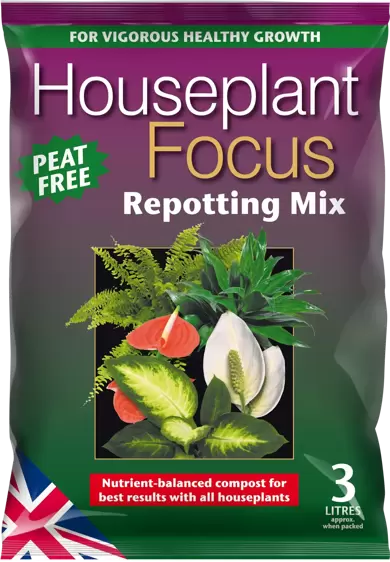 Houseplant Focus Peat Free Repotting Mix 3L - image 1