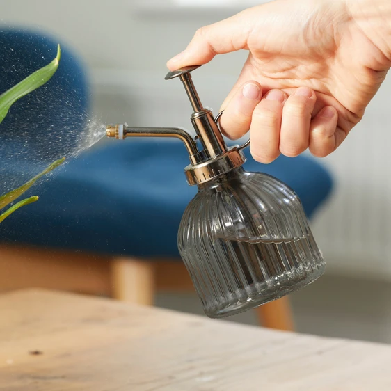 Houseplant Plant Mister