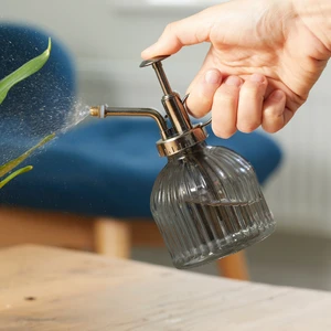 Houseplant Plant Mister