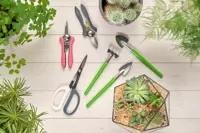 Houseplant Tools & Supports