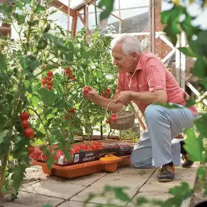 Hozelock Growbag Waterer - image 6