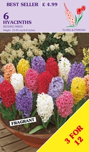 Hyacinth Bedding Mix