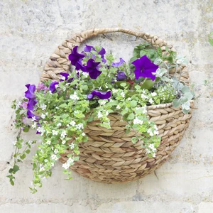 Hyacinth Wall Basket - image 1