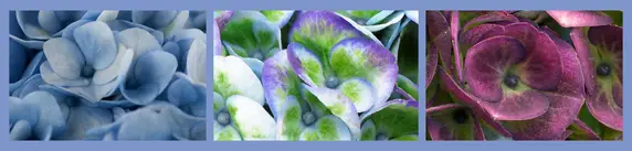 Colour Change Sequence