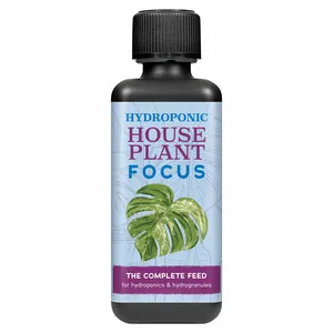 Hydroponic Houseplant Focus