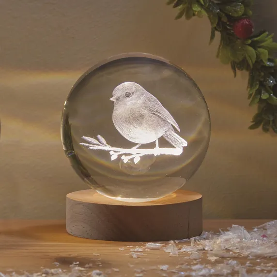 Illuminated Robin Globall