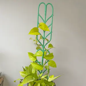 Indoor Plant Support