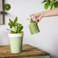 Indoor Watering & Misting