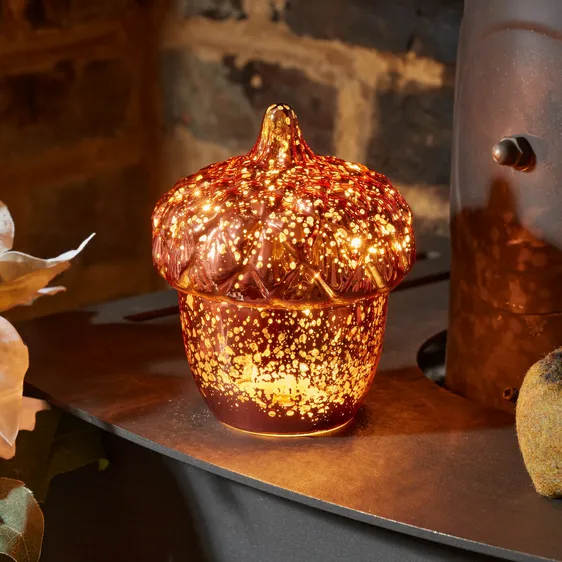 InLit Decorative Acorn Light - image 1