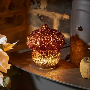 InLit Decorative Acorn Light - image 2