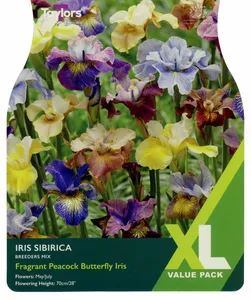 Iris Breeders Mix