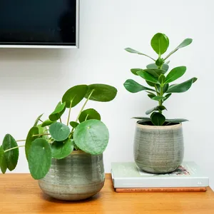 Ivyline Como Mint Planter Ø14cm - image 3