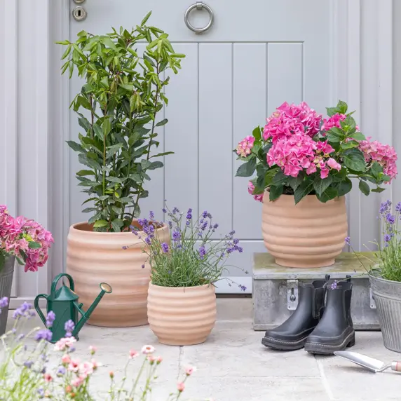 Ivyline Ambrose Honeycomb Planter Ø22cm - image 1