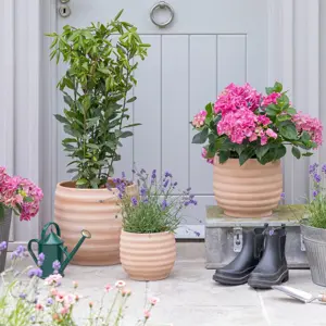 Ivyline Ambrose Honeycomb Planter Ø22cm - image 1