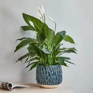 Ivyline Arles Leaf Embossed Teal Planter - Small - image 2
