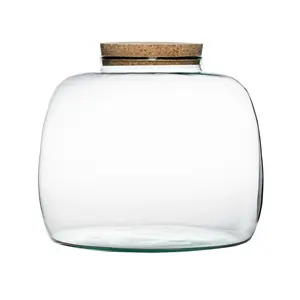 Ivyline Bowl Shape Terrarium Kit - Medium