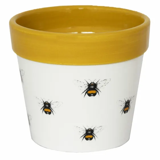 Ivyline Bumblebee Cacti Planter - Medium - image 1