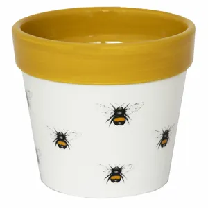 Ivyline Bumblebee Cacti Planter - Small - image 2