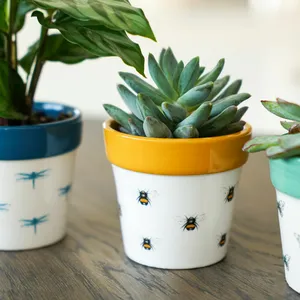 Ivyline Bumblebee Cacti Planter - Small - image 1