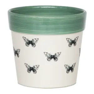 Ivyline Butterfly Cacti Planter - Small - image 2