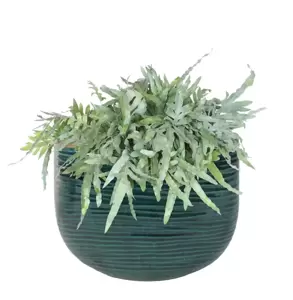 Ivyline Como Turquoise Oval Planter - image 2