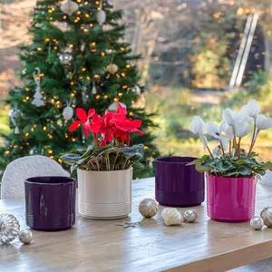 Ivyline Cyclamen Straight Sided Planter - Violet - image 1