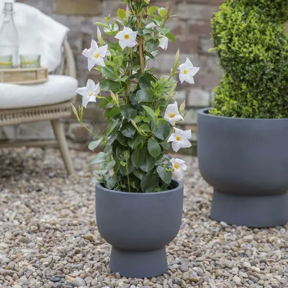 Ivyline Dallas Charcoal Footed Planter Set of Three - image 3