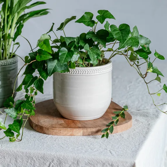 Ivyline Delphine Cotton Planter 15cm - image 1