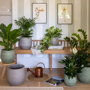 Ivyline Devon Beige Planter - Small - image 2