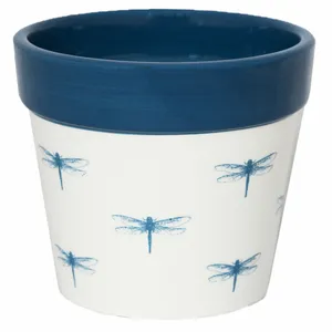 Ivyline Dragonfly Cacti Planter - Large - image 1