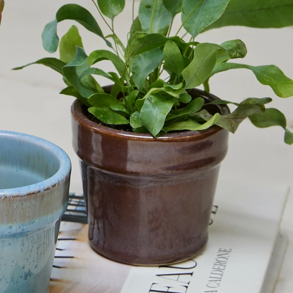 Ivyline Dulci Heather Planter Ø7cm - image 2