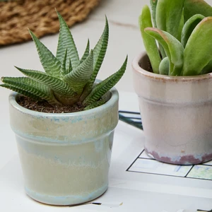 Ivyline Dulci Pistachio Planter Ø12cm - image 2