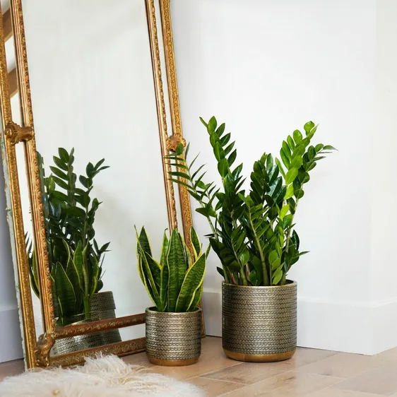 Ivyline Embossed Gold Planter - image 2