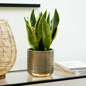 Ivyline Embossed Gold Planter - image 1