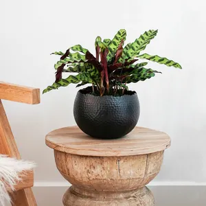 Ivyline Hammered Black Planter - Small - image 1