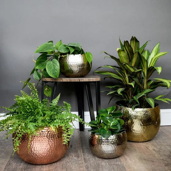 Ivyline Hammered Copper Planter - Small - image 2