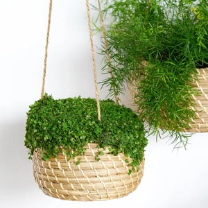 Ivyline Hanging Seagrass Planter Ø22cm - image 2