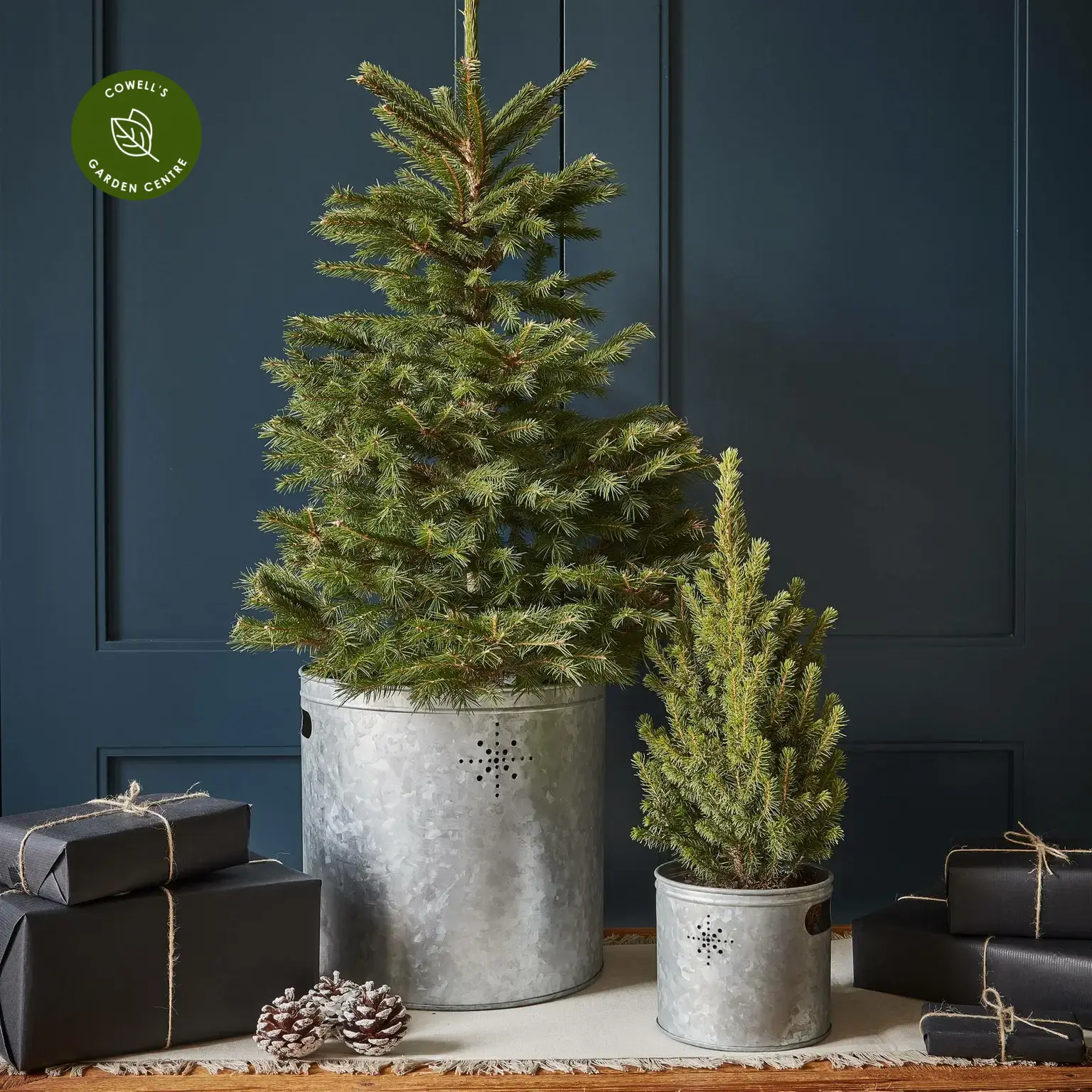 Ivyline Indoor Galvanised Christmas Tree Bucket O23cm Cowell s Garden Centre Woolsington