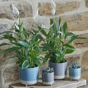 Ivyline Jolie Aqua Reactive Glaze Planter - Small - image 2