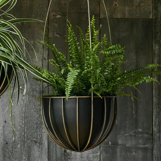 Ivyline Kensington Brass Hanging Planter - Large - image 3