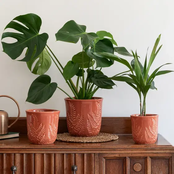 Ivyline Kew Fern Rust Planter 15cm - image 1