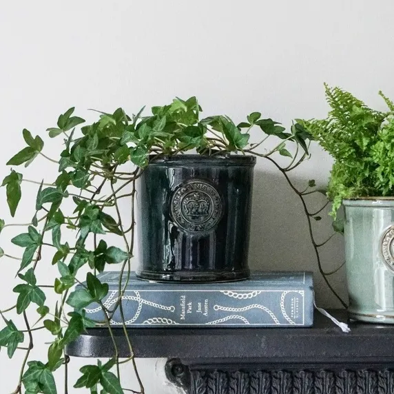 Ivyline Kew Reactive Emerald Planter 11cm - image 2