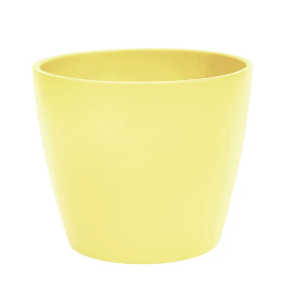 Ivyline Lemon Planter