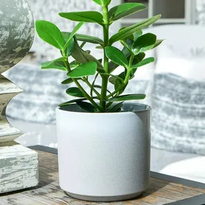 Ivyline Leon White Planter Ø16cm - image 2