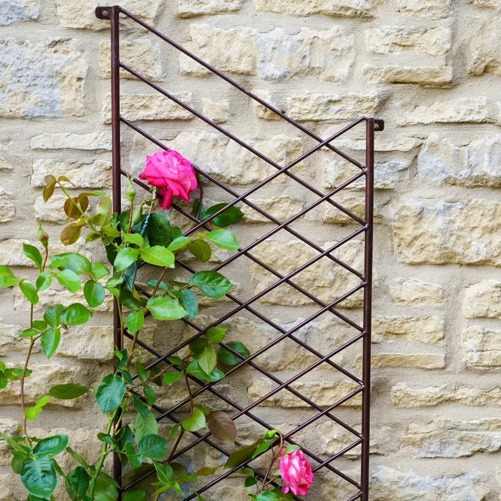 Ivyline Linear Bronze Plant Trellis Cowell's Garden Centre Woolsington